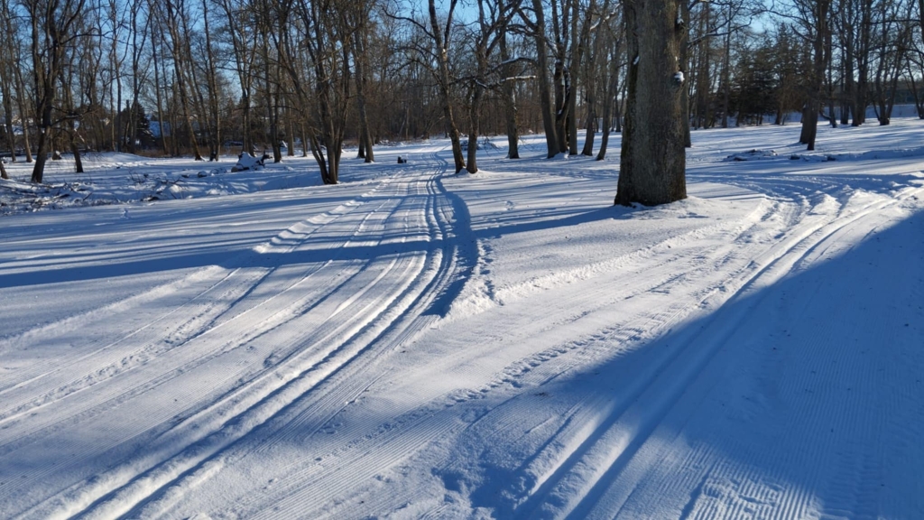 992bf855-b984-4f70-bf00-fc84053de1af.jpg