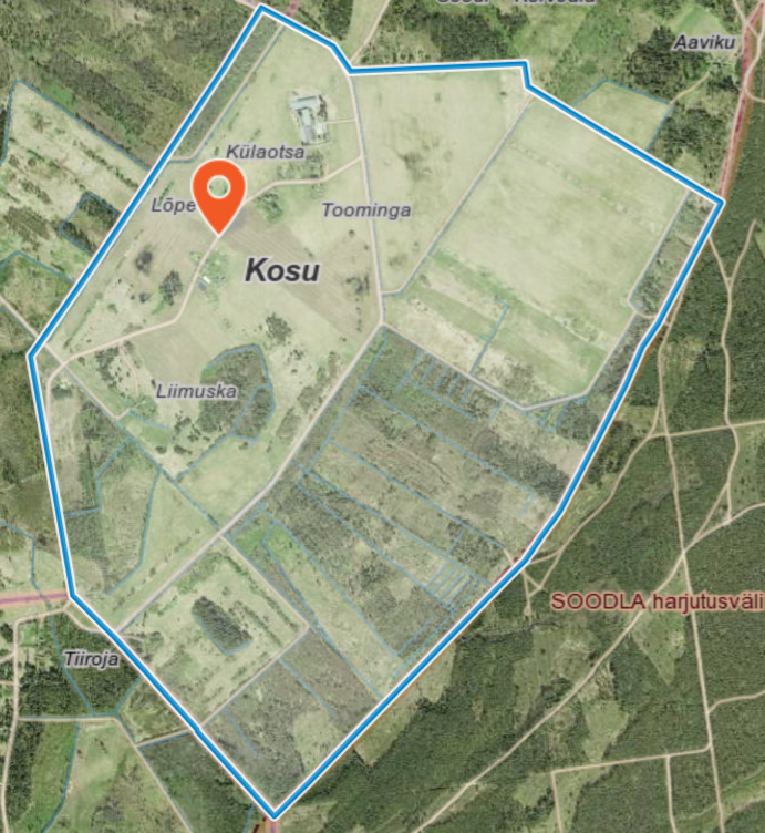 Kosu